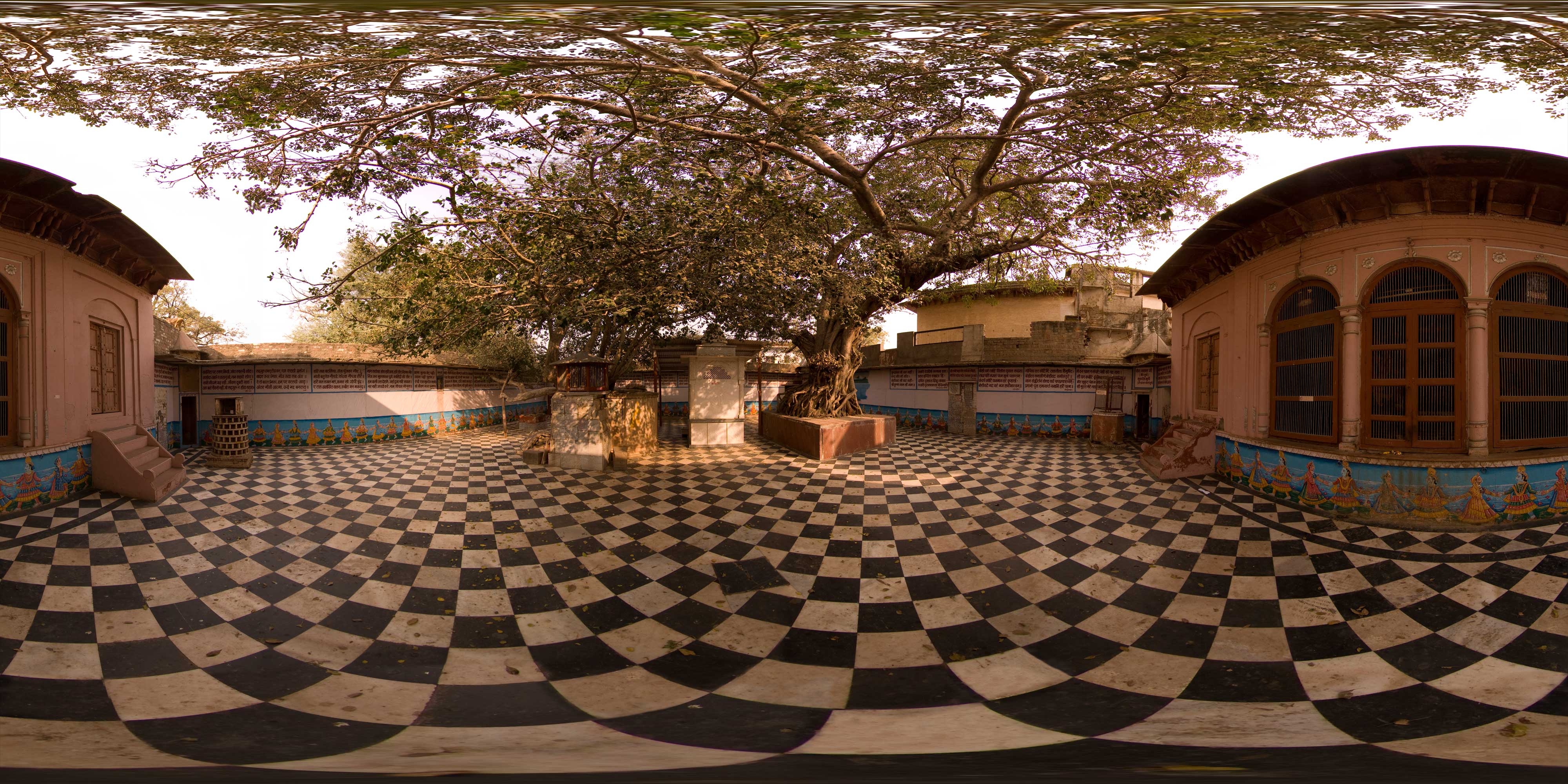 Sri Vamshi Vat • 2